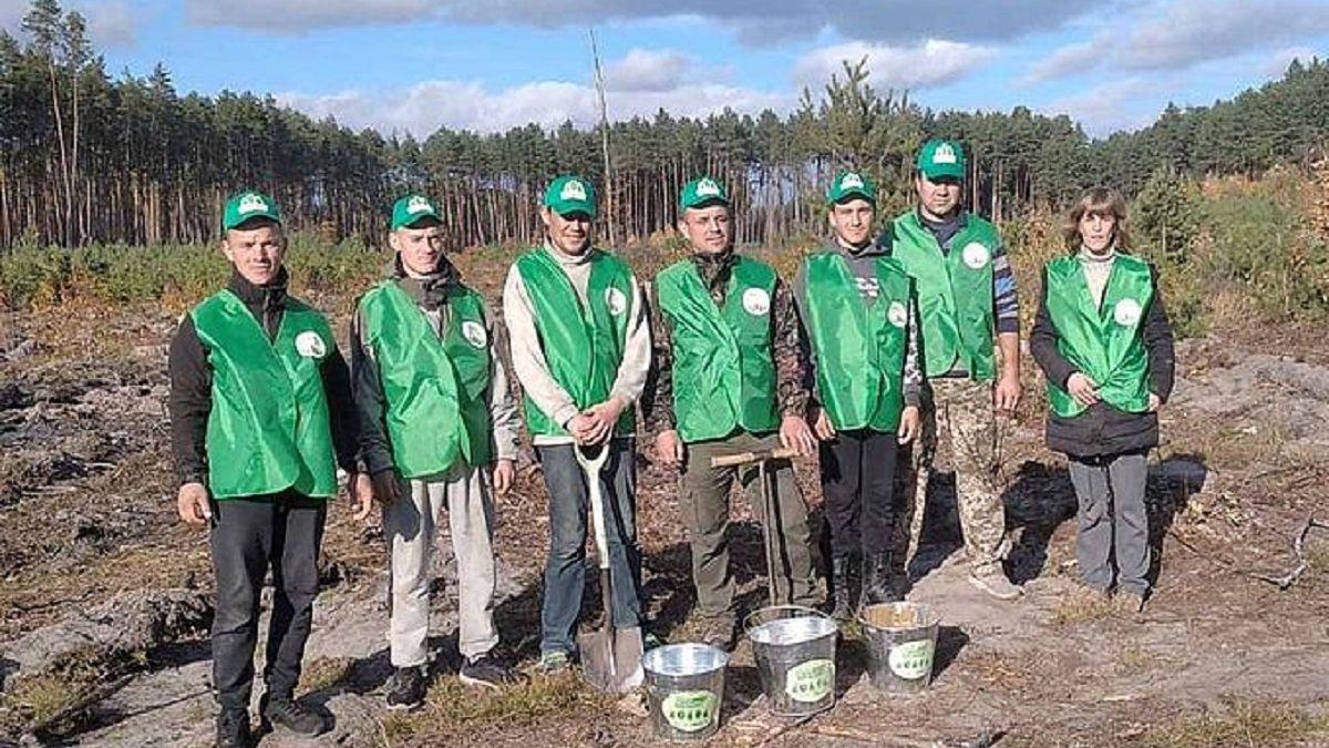 На Хмельниччині висадили майже 3 мільйони дерев