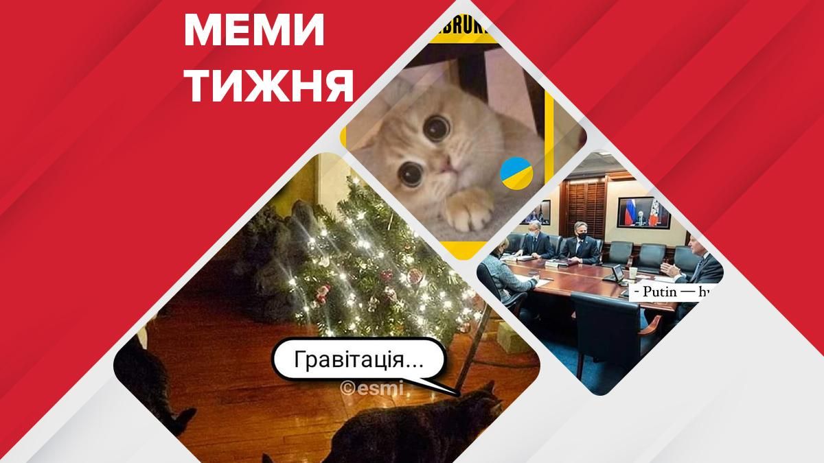 Найсмішніші меми тижня: заборона пластикових пакетів та передноворічні атаки котів - Головні новини - 24 Канал Найсмішніші меми тижня: заборона пластикових пакетів та передноворічні атаки котів - Головні новини - 24 Канал