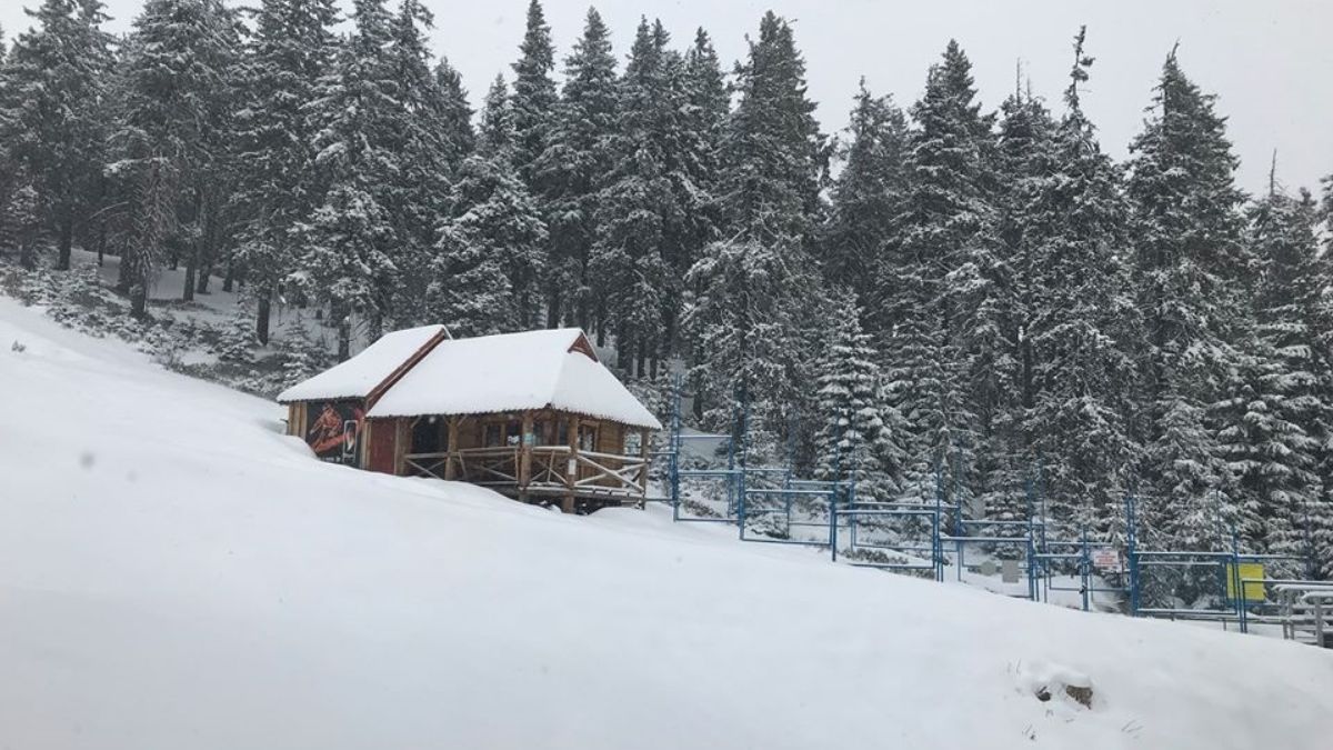 У Карпатах – снігопади: можуть сходити лавини - 24 Канал У Карпатах – снігопади: можуть сходити лавини - 24 Канал