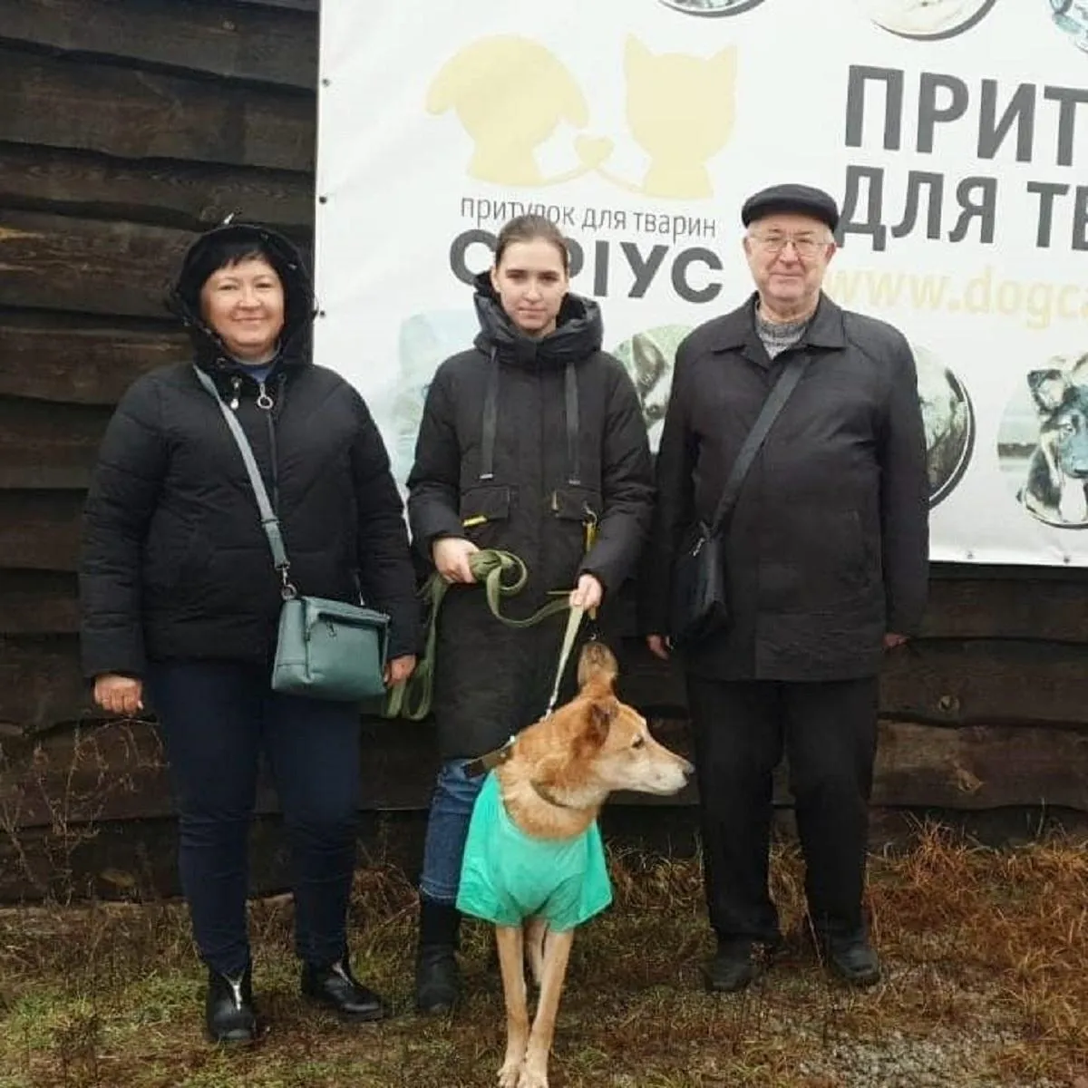 Пес на Дорогожичах, покинутому Джеку знайшли нову родину