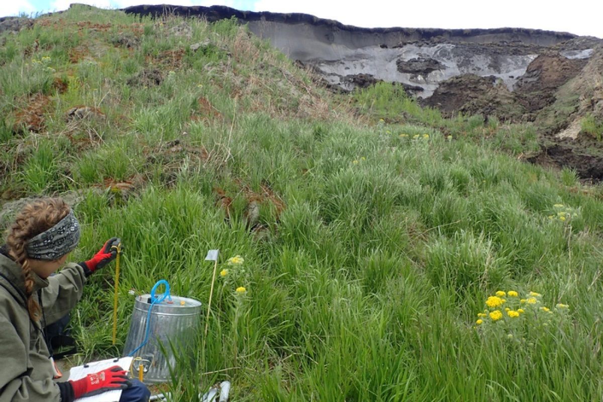 У вічній мерзлоті виявлено нове джерело парникових газів - Новини технологій - Техно У вічній мерзлоті виявлено нове джерело парникових газів - Новини технологій - Техно