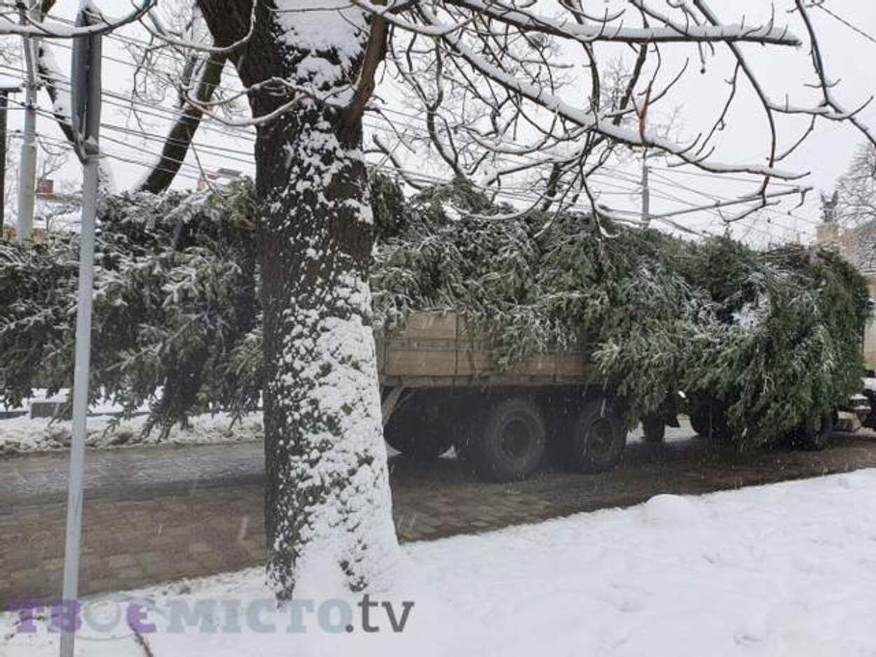 Привез с Карпат 35 лет назад: мужчина, который подарил Львову елку, рассказал ее историю Привез с Карпат 35 лет назад: мужчина, который подарил Львову елку, рассказал ее историю