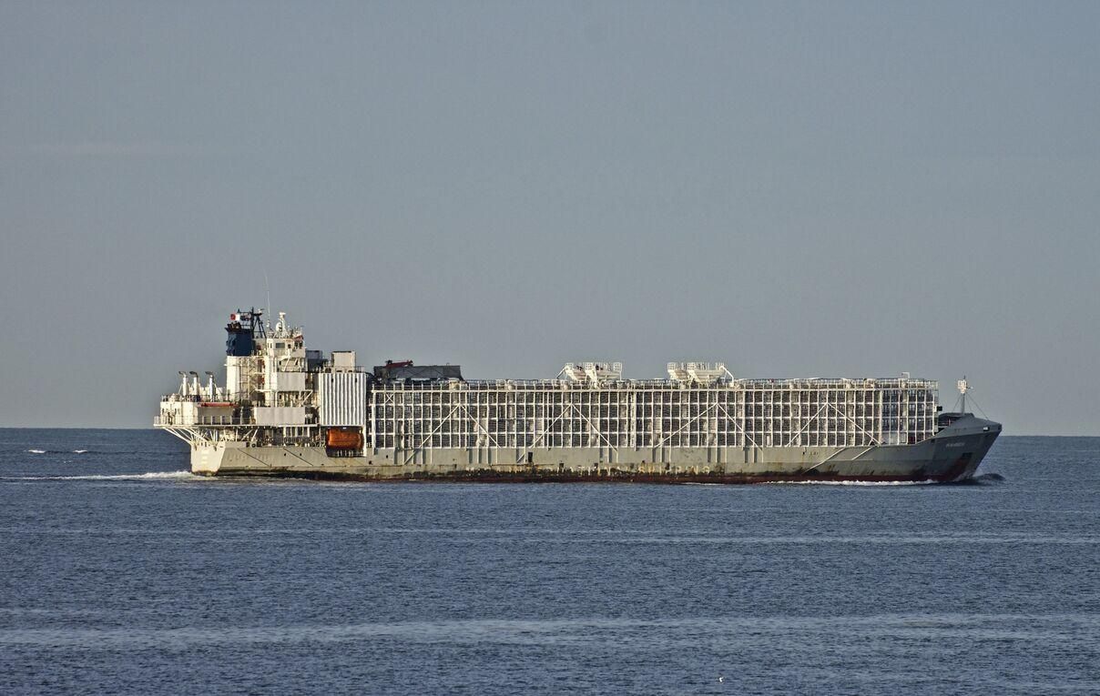 Столкновение кораблей в Балтийском море: экипаж одного судна был пьян