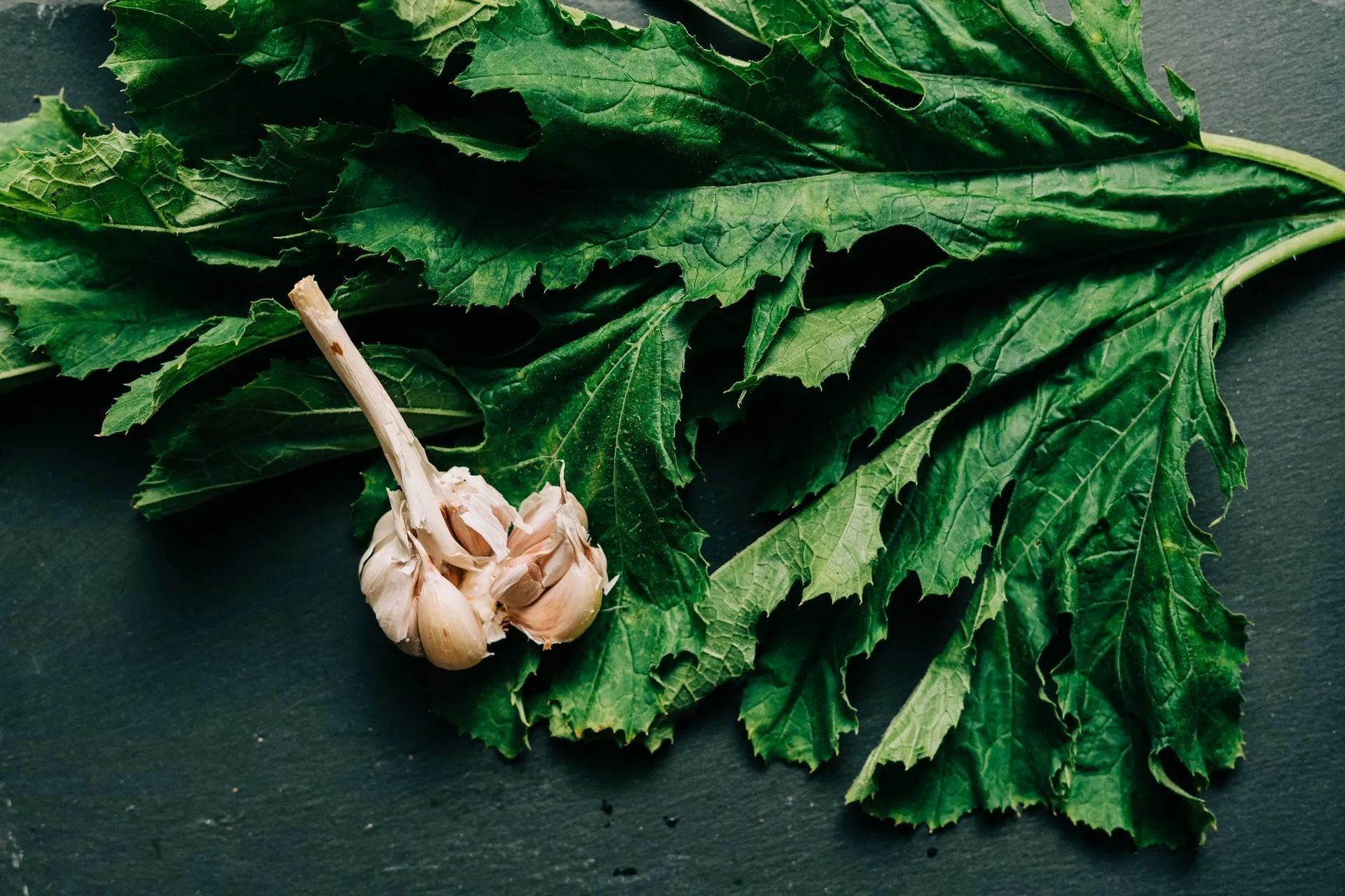 Тепле листя салату найкраще маску запах часнику
