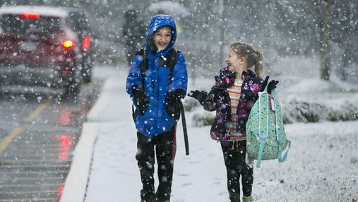 Когда регионы отправят учеников на зимние каникулы: перечень и даты