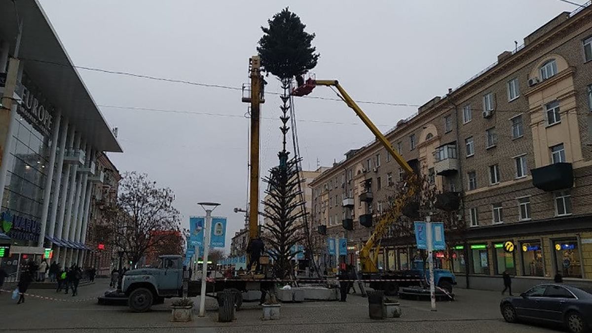 В Днепре установят самую высокую после Киева елку в Украине