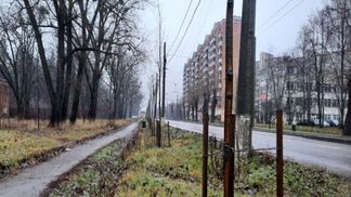 У Сумах може з'явитися ще одна липова алея