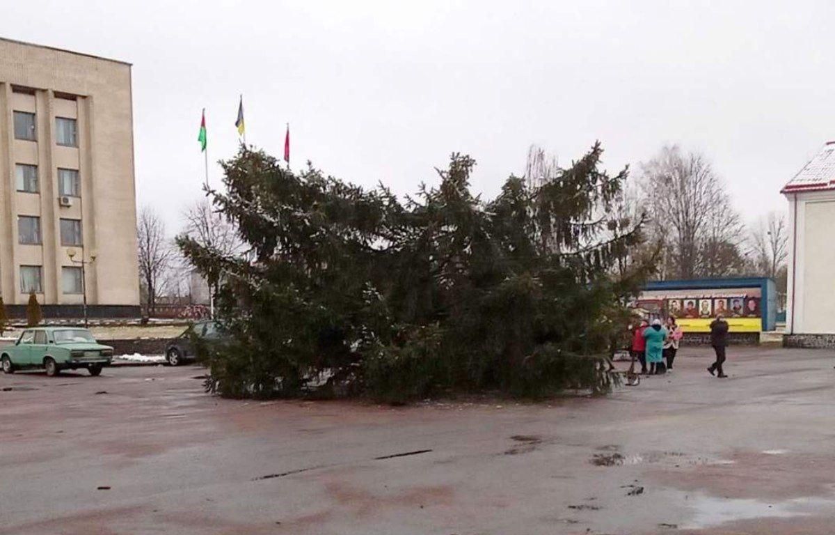 Праздника не будет: в Житомирской области сломалась главная елка и оставила людей без интернета