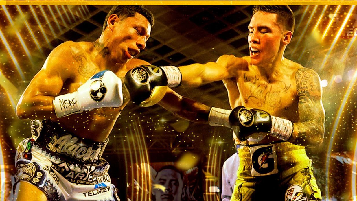 Сокрушительный удар на грани смерти: WBC назвала лучший нокаут 2021 года