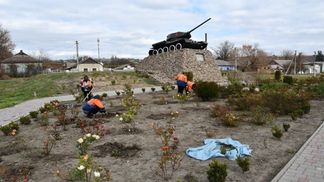 На Одещині проводять масове озеленення