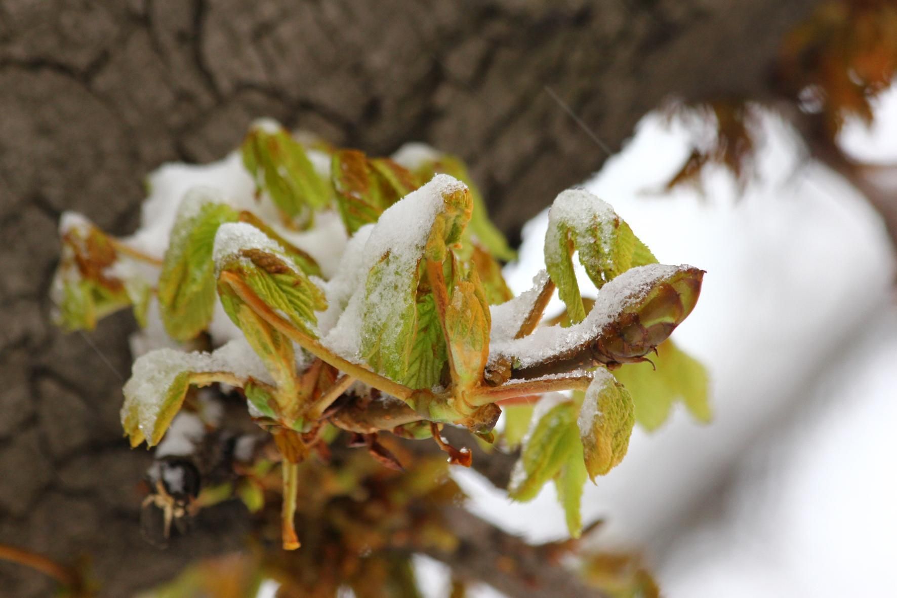 Погода на 16 грудня 2021 в Україні: що прогнозують синоптики Погода на 16 грудня 2021 в Україні: що прогнозують синоптики