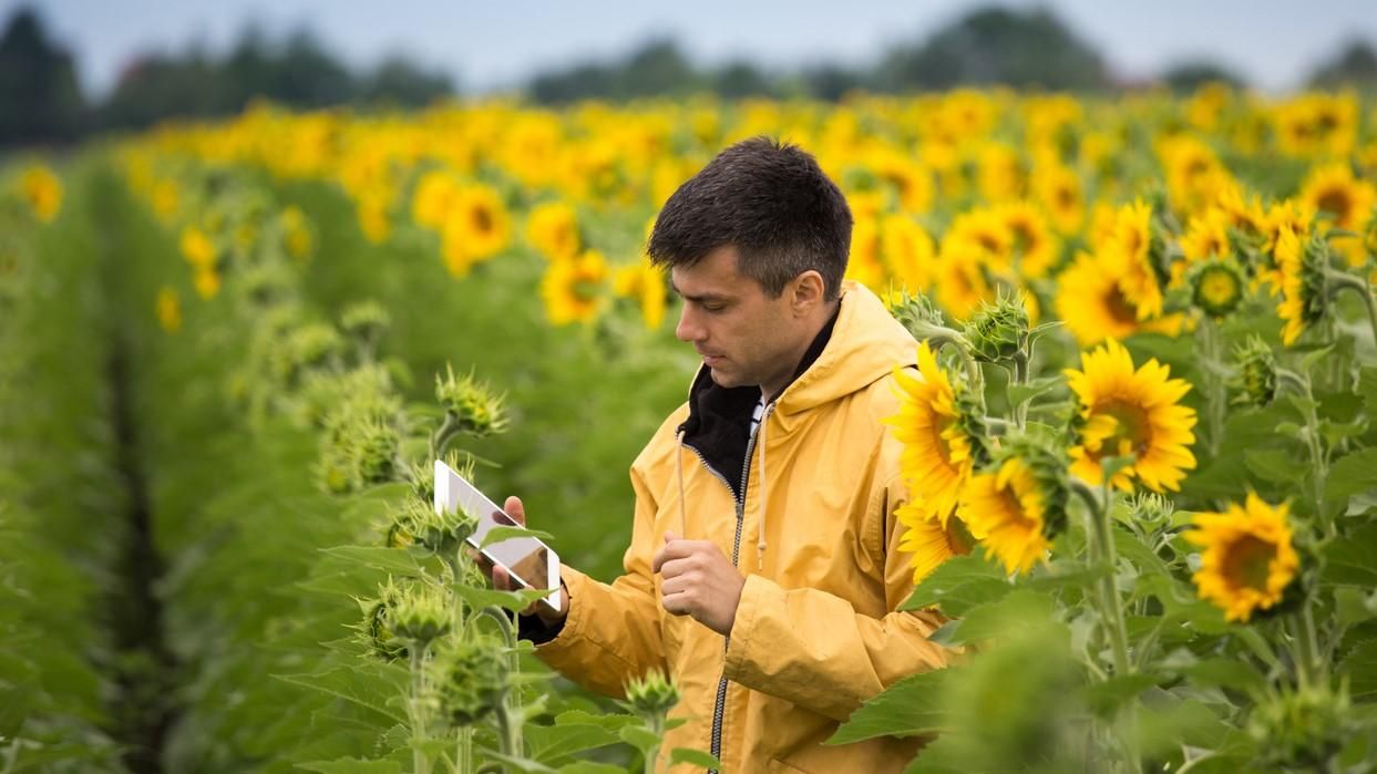Електронні документи: як працювати агросектору – кейс OптімусАгро Трейд - Бізнес Електронні документи: як працювати агросектору – кейс OптімусАгро Трейд - Бізнес