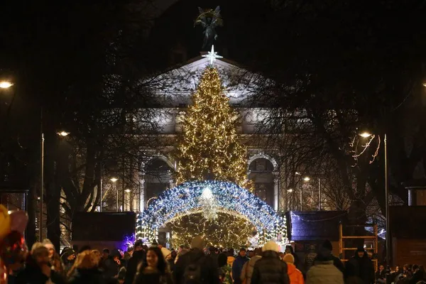 Головна новорічна ялинка  Львова