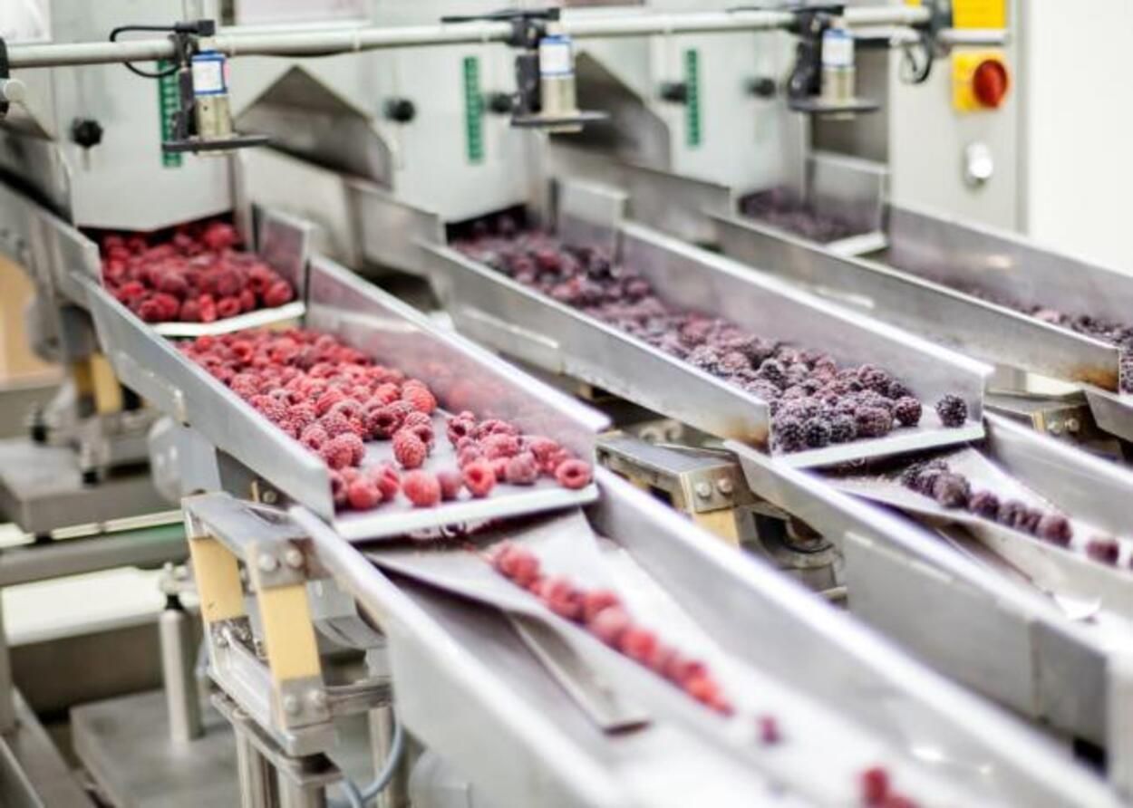 На Львовщине построят инновационный завод по переработке фруктов