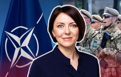 Об Украине в НАТО и заявлениях Скабеевой: эксклюзивное интервью с заместителем Резникова