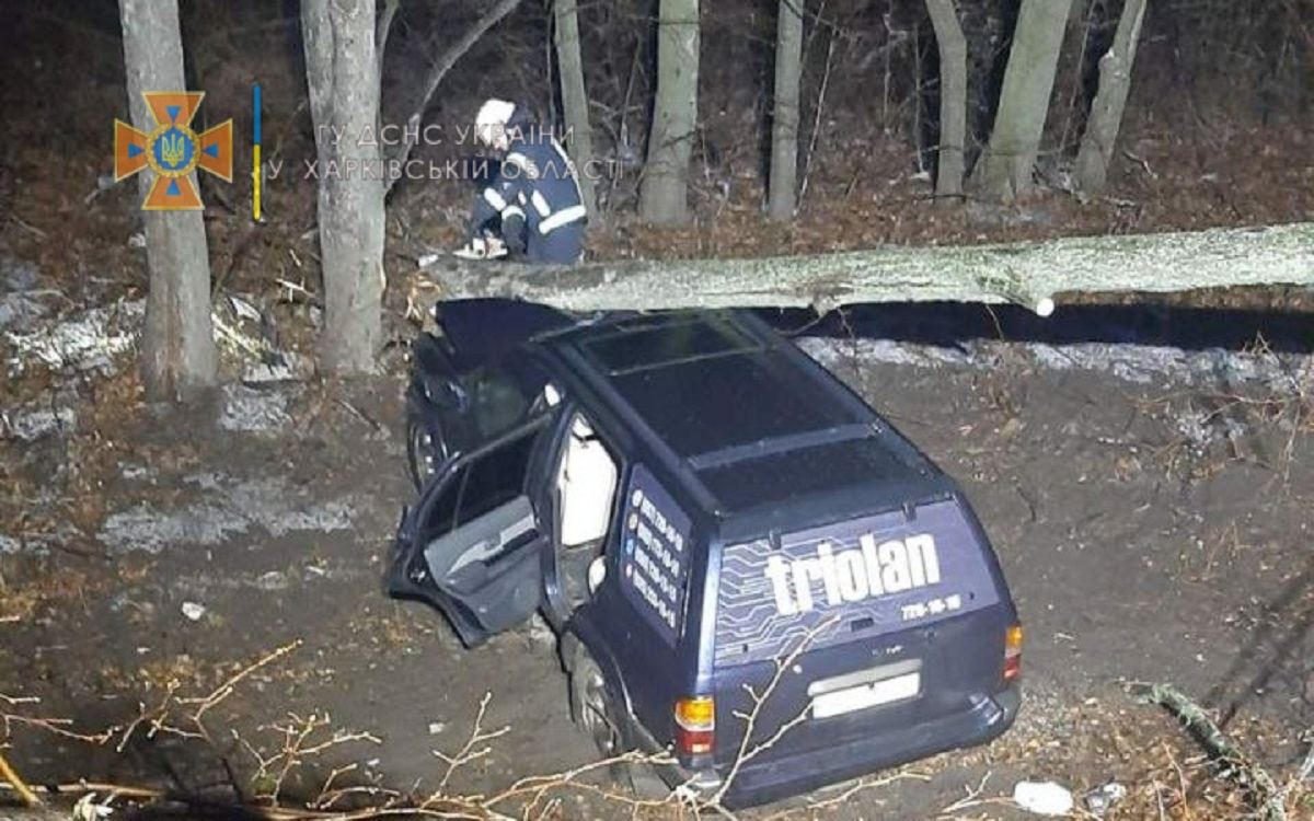 На Харківщині автівку привалило деревом після ДТП: дві жінки опинилися у пастці - Харків