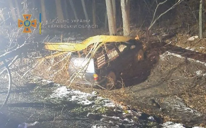 ДТП під Харковом, дерево впало на Nissan