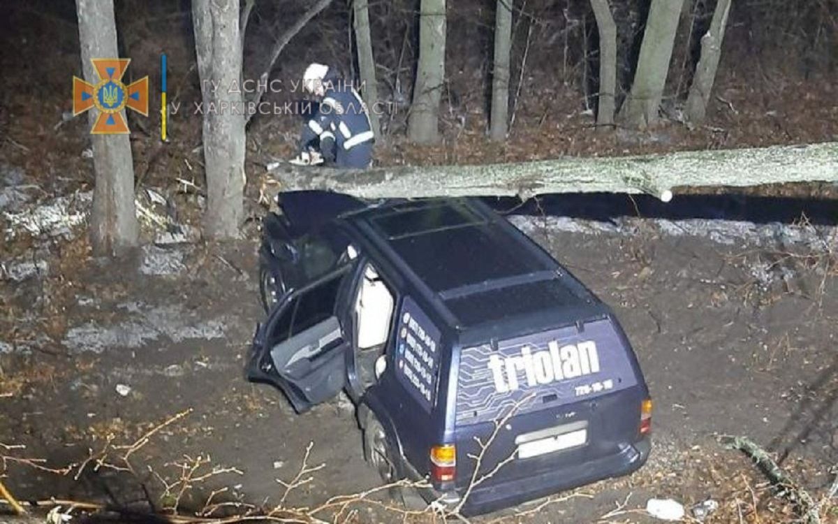 На Харьковщине машину привалило деревом после ДТП: две женщины оказались в ловушке