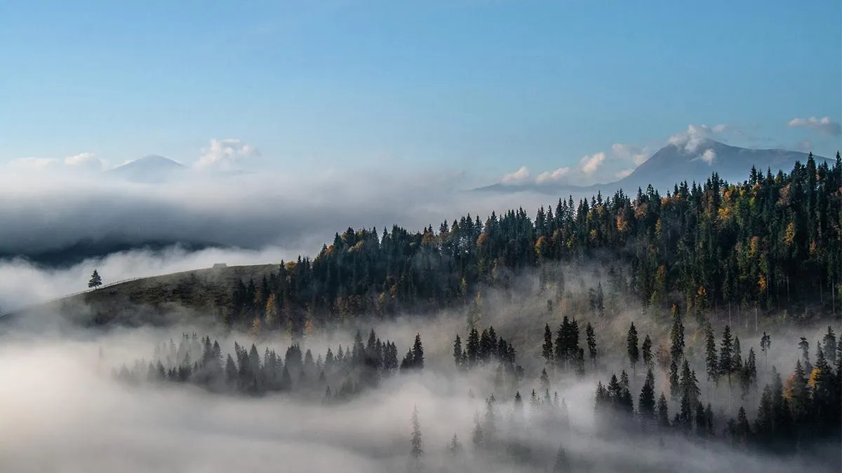 Автор: Лабчук Роберт Автор: Лабчук Роберт