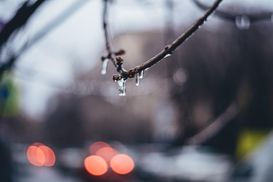 Снег и схождение лавин: прогноз погоды на 18 декабря