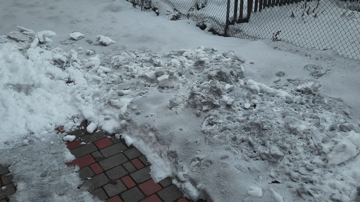 Правительство проверит, почему на Прикарпатье "почернел" снег