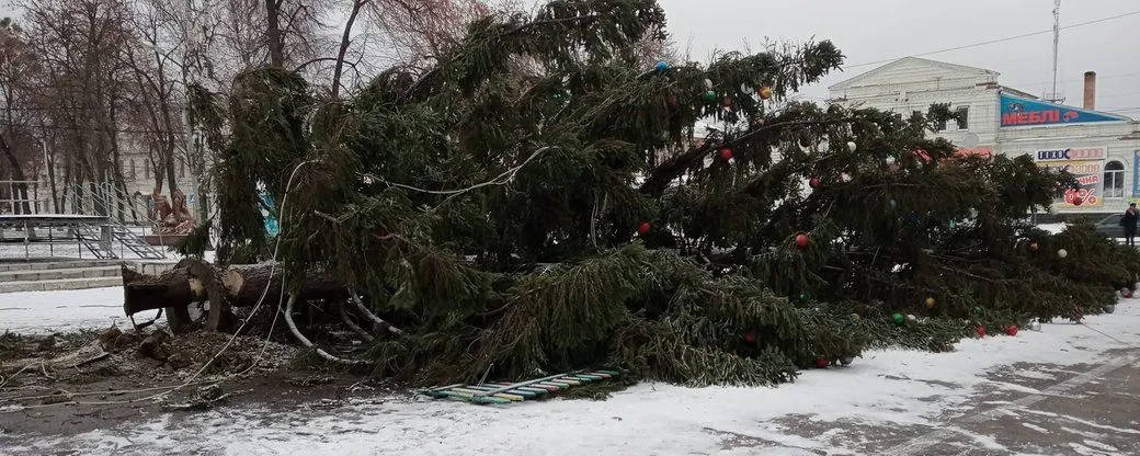 Ялинка впала на Сумщині