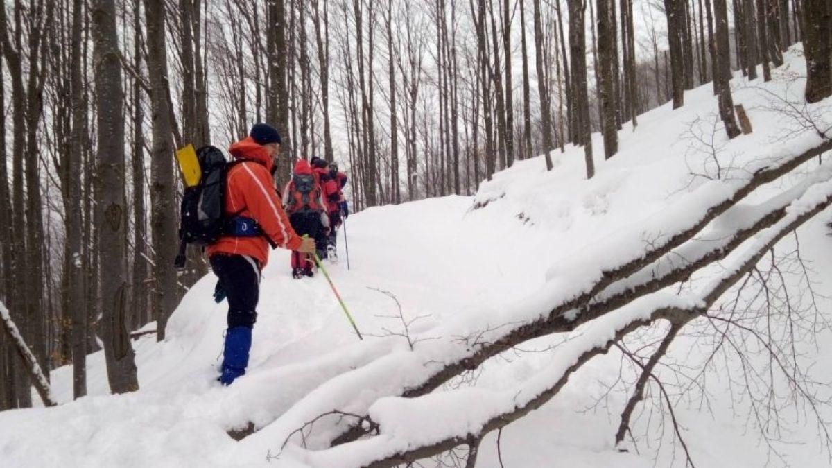 Приїхав на відпочинок і зник: на Закарпатті розшукують туриста - Новини Житомир - 24 Канал Приїхав на відпочинок і зник: на Закарпатті розшукують туриста - Новини Житомир - 24 Канал