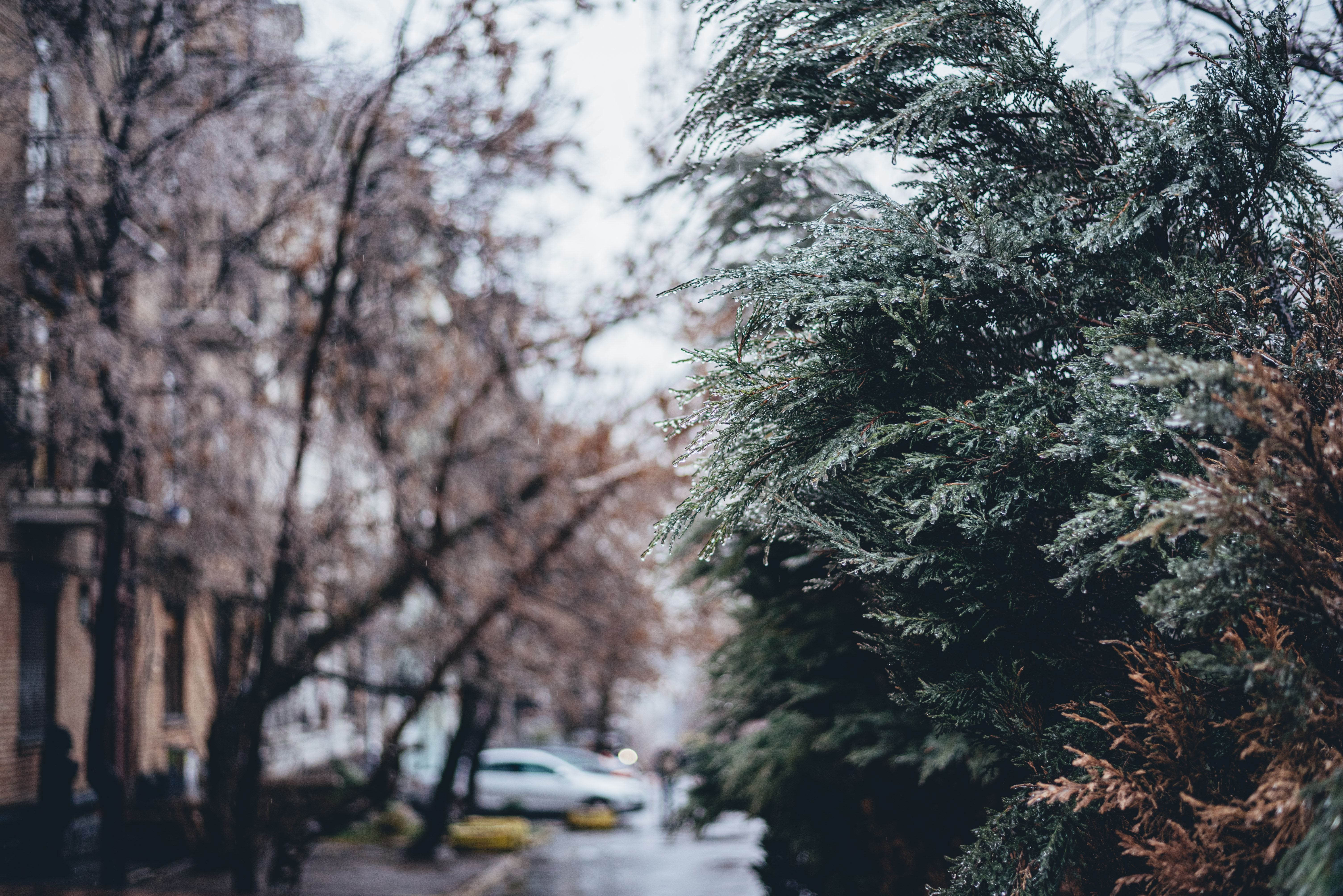 Погода на 21 декабря 2021 в Украине: что прогнозируют синоптики - 24 Канал Погода на 21 декабря 2021 в Украине: что прогнозируют синоптики - 24 Канал