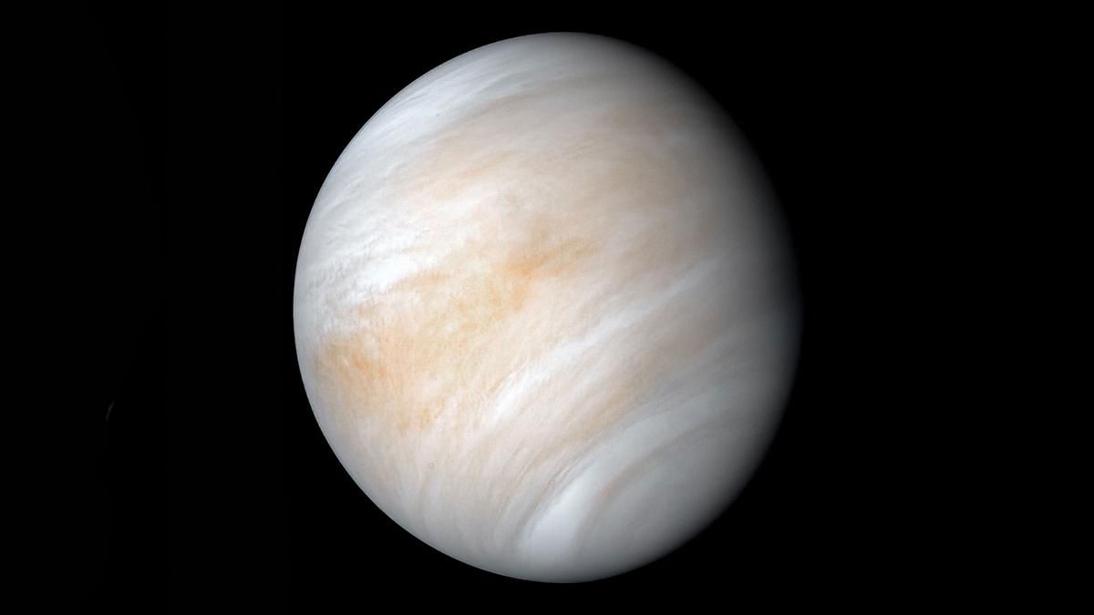 Ученые доказывают, что жизнь на Венере может существовать