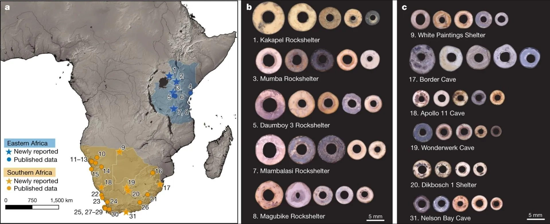 Африка Африка