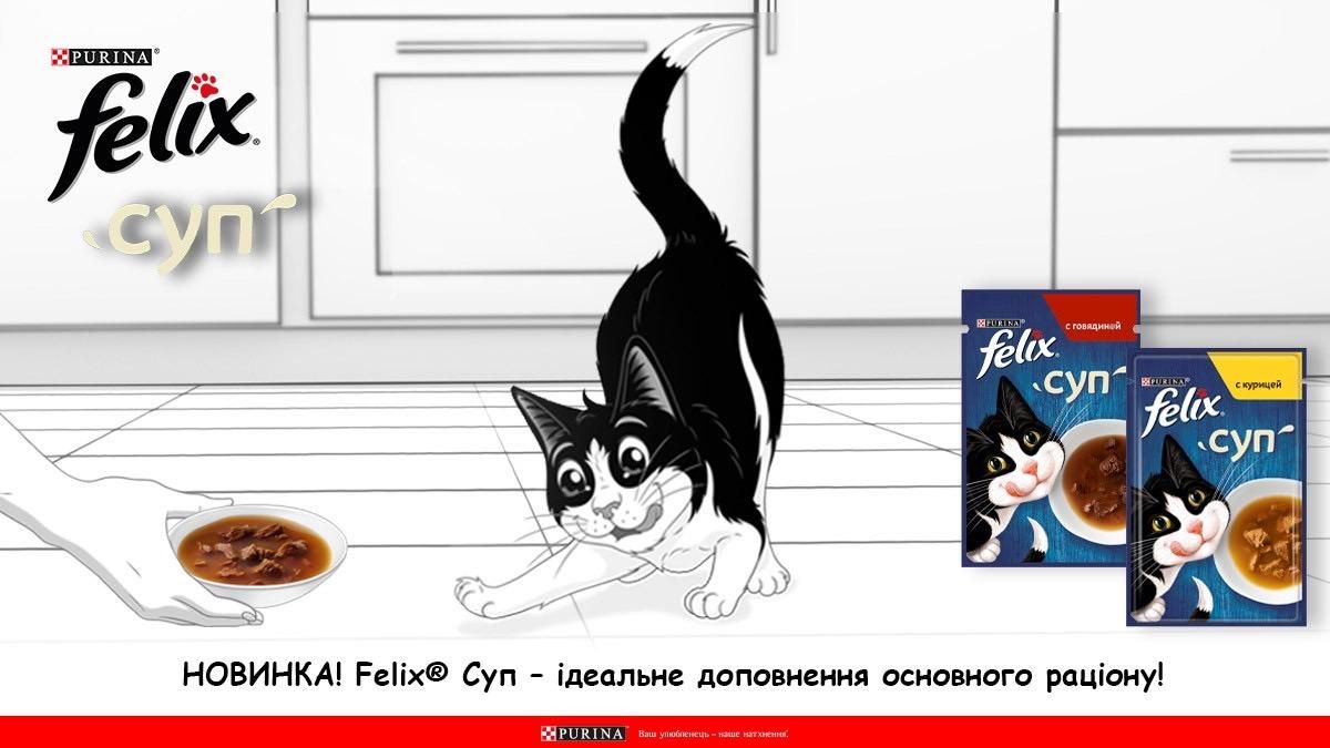 Ексклюзивні подарунки для котиків: якою новинкою можна потішити улюбленця