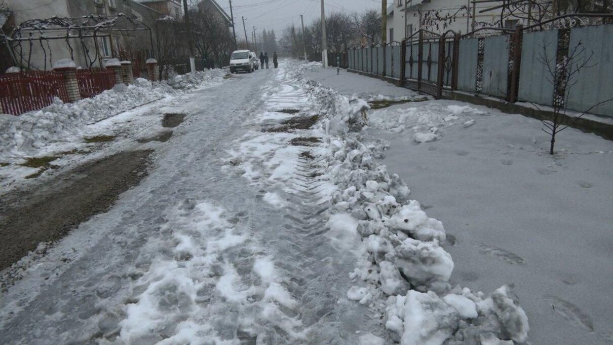 Загрози для людей немає: у Держпродспоживслужбі відреагували на чорний сніг на Прикарпатті - Новини Івано-Франківськ - 24 Канал