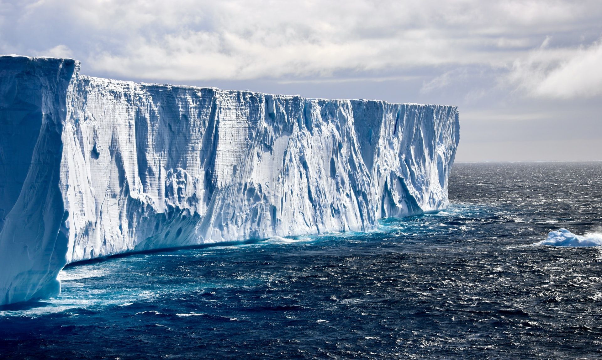 Під льодовиком в Антарктиді виявили багату екосистему: вона виживає у суцільній темряві - Новини технологій - Техно