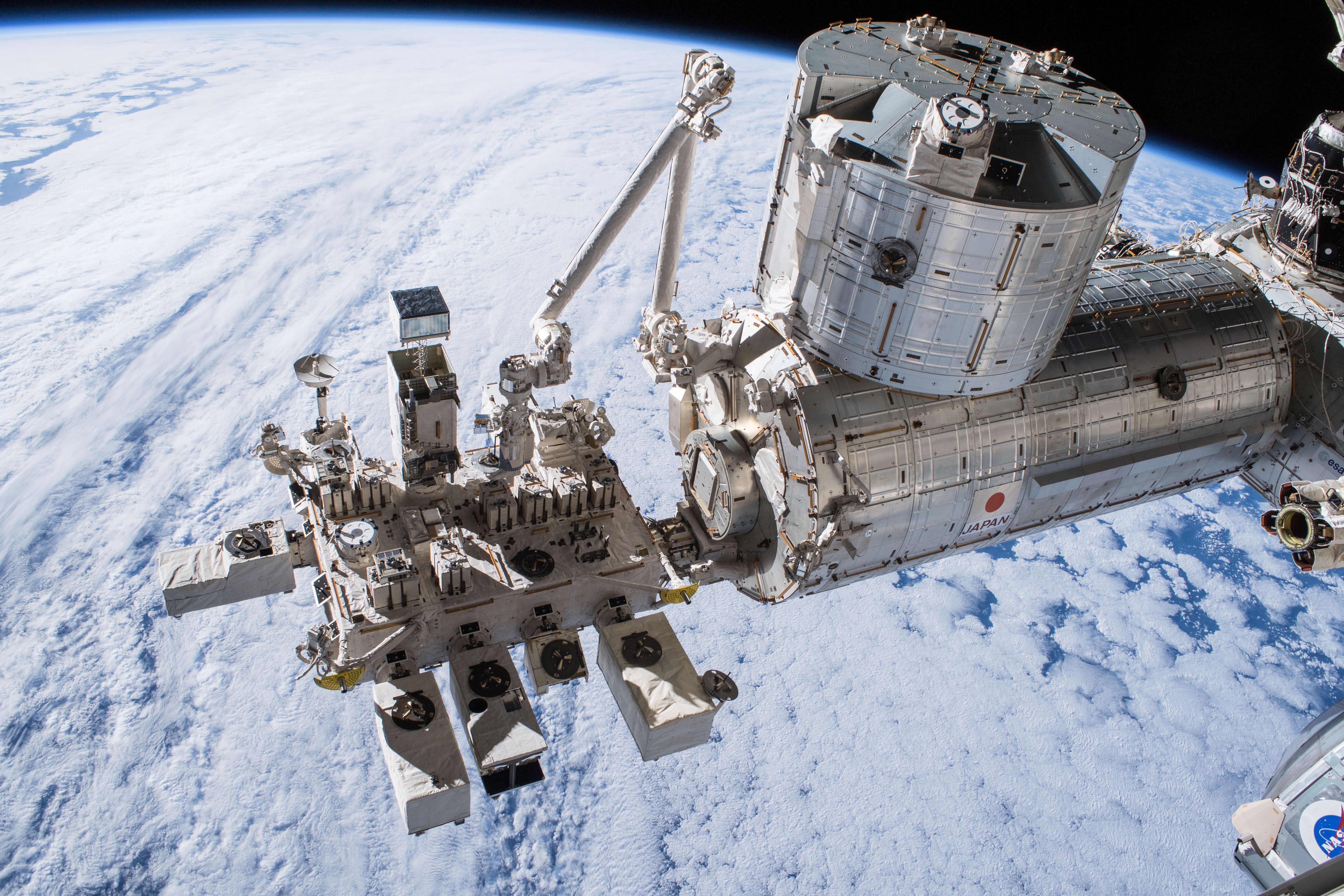 На МКС успішно виростили салат у пакеті: технологію застосують для далеких подорожей у космосі - Новини технологій - Техно
