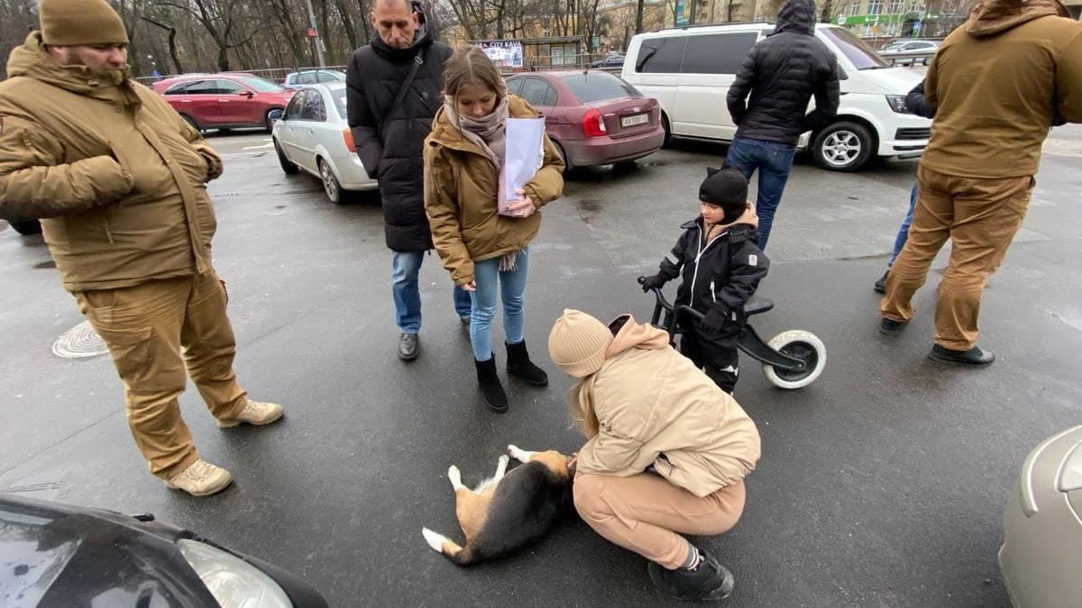 Аби врятувати собаку: у Києві муніципальній варті довелося зупинити рух проспектом Перемоги - Київ