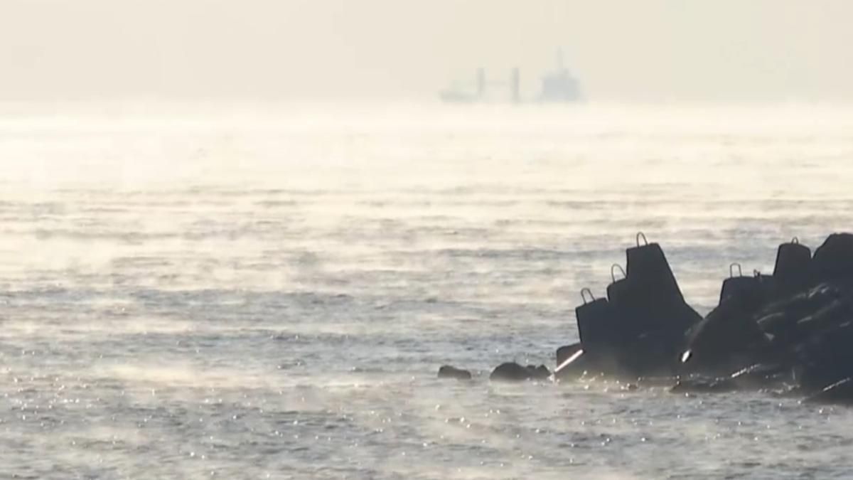 В Одессе из-за морозной погоды наблюдали редкое природное явление В Одессе из-за морозной погоды наблюдали редкое природное явление