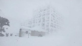 Карпаты накрыла метель: какая сейчас ситуация в горах