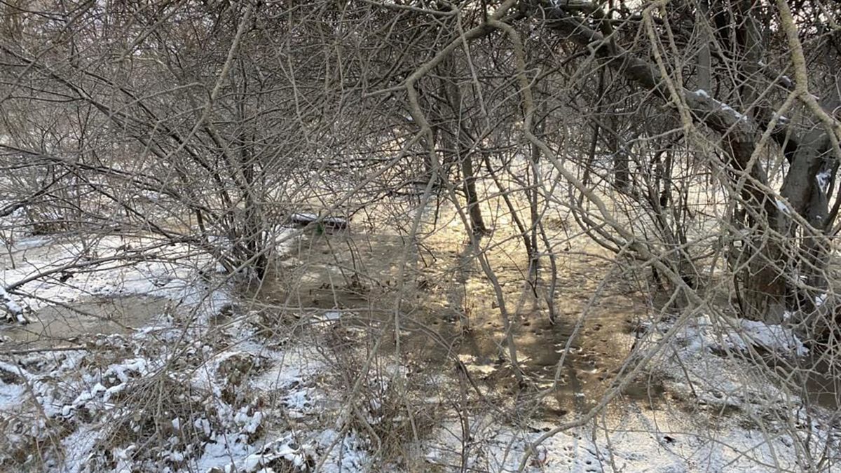 Витекла брудна вода: в Кривому Розі на металургійному комбінаті прорвало дамбу - Новини Кривого Рогу - 24 Канал