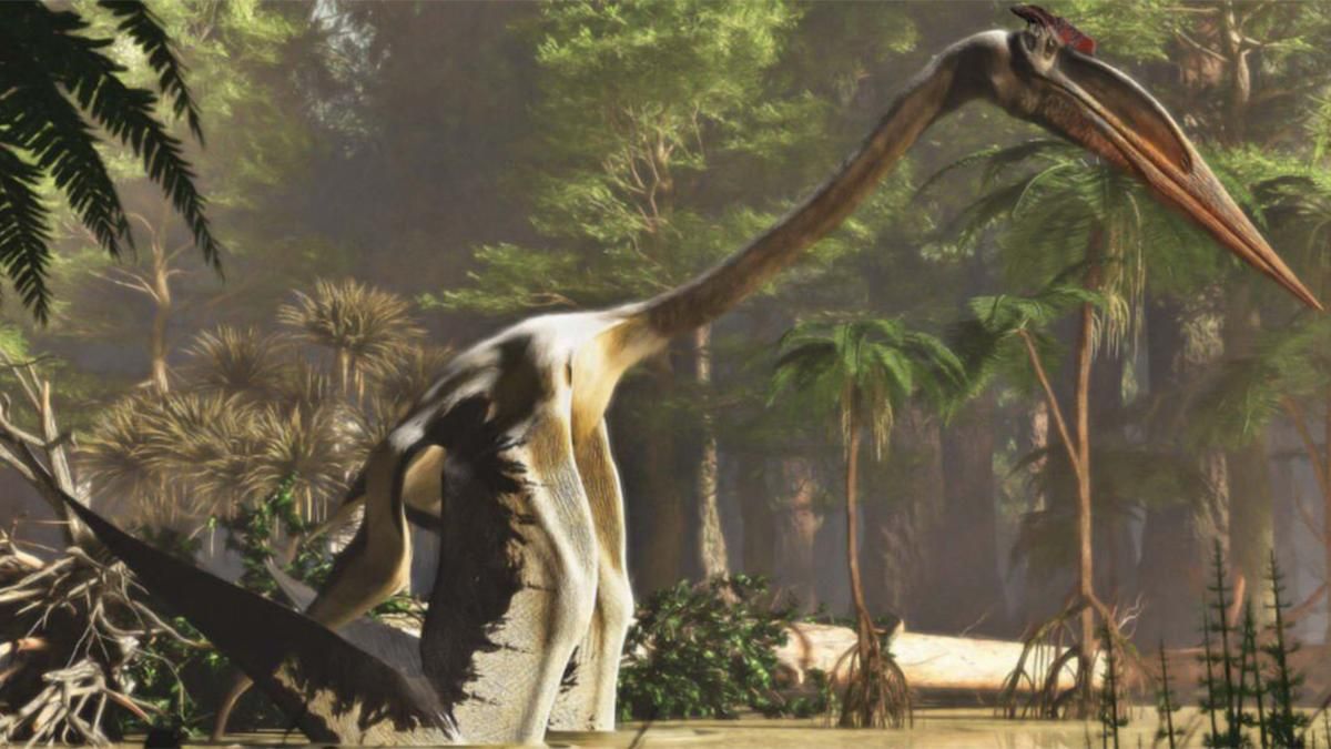 На що була схожа найбільша летюча істота усіх часів - Новини технологій - Техно На що була схожа найбільша летюча істота усіх часів - Новини технологій - Техно