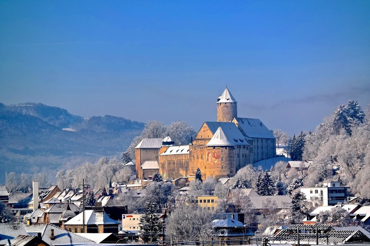 У Швейцарії біля кордону з Францією стався сильний землетрус - 24 Канал У Швейцарії біля кордону з Францією стався сильний землетрус - 24 Канал
