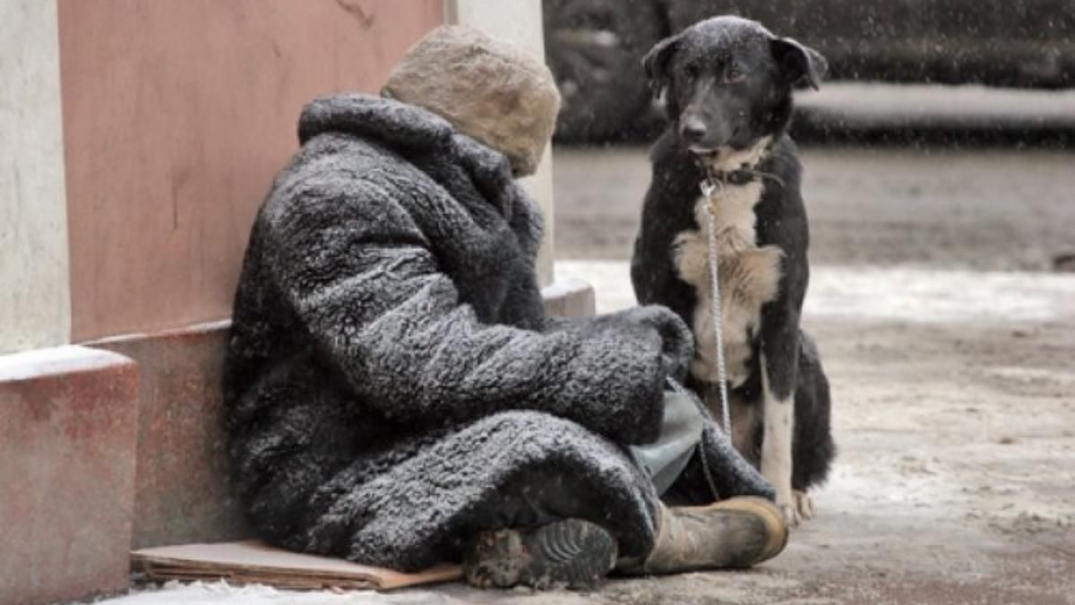 Врятувати від обмороження: у містах України облаштовують пункти обігріву для безхатьків - Новини Львова - Львів Врятувати від обмороження: у містах України облаштовують пункти обігріву для безхатьків - Новини Львова - Львів