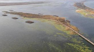 Популяция птиц: в Николаевской области построили искусственные острова для гнездования