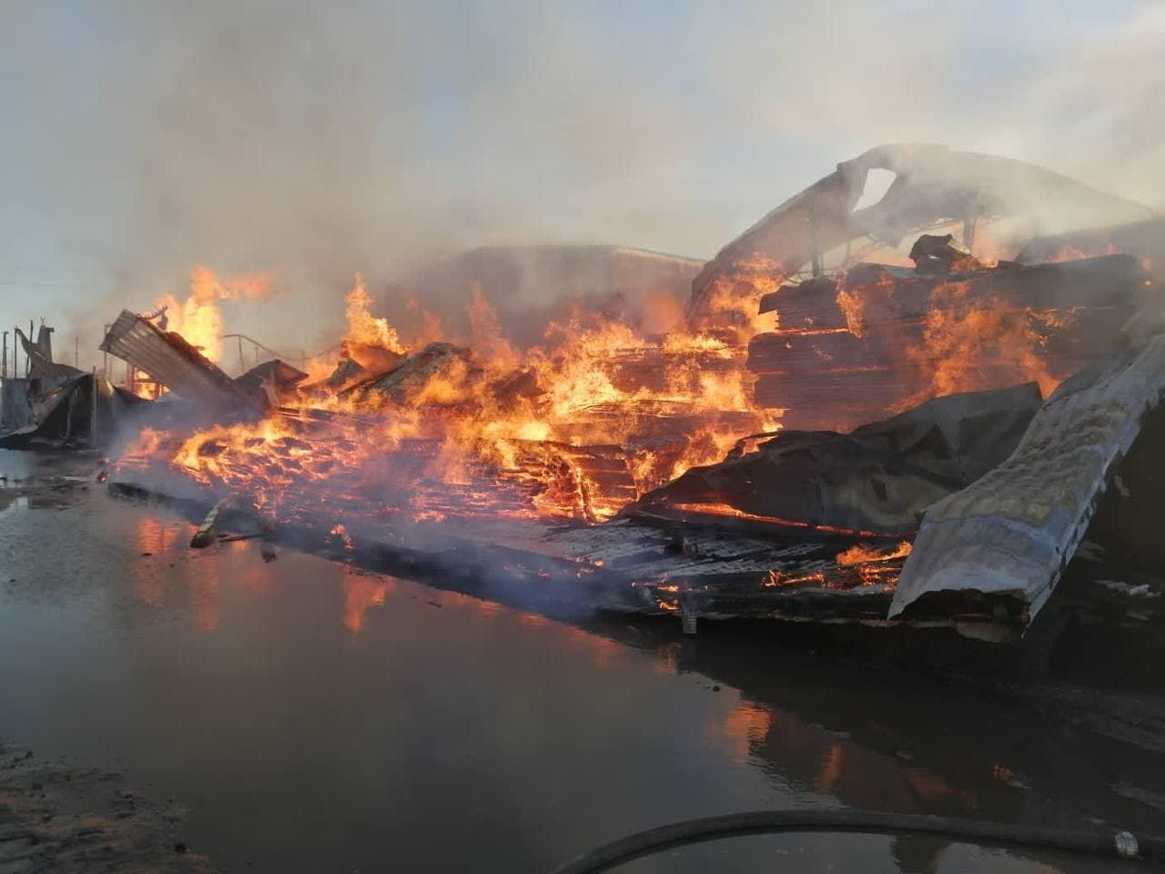 Пожежа на пилорамі під Києвом: рятувальники приборкали вогонь - Новини Києва - Київ