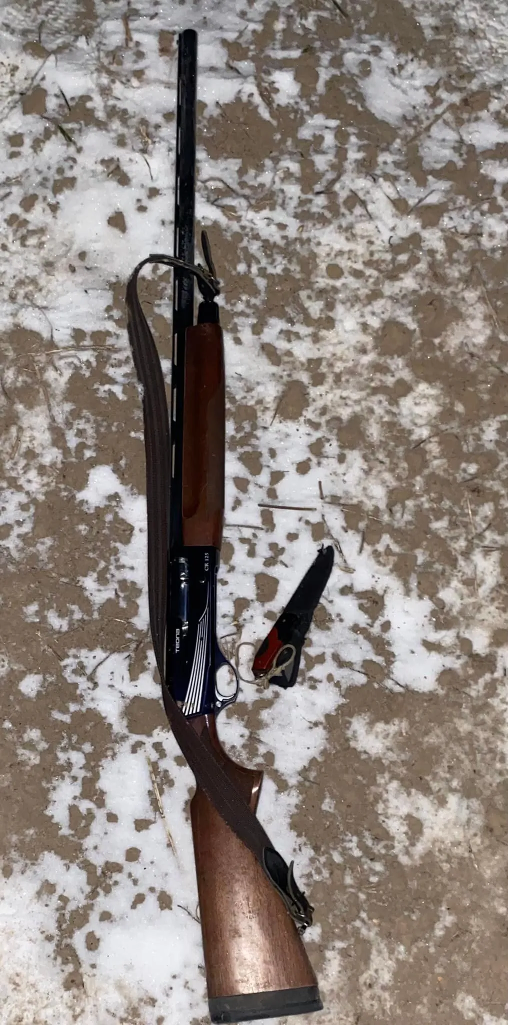 Під Львовом чоловік застрелив собаку та цілився в господарку Під Львовом чоловік застрелив собаку та цілився в господарку