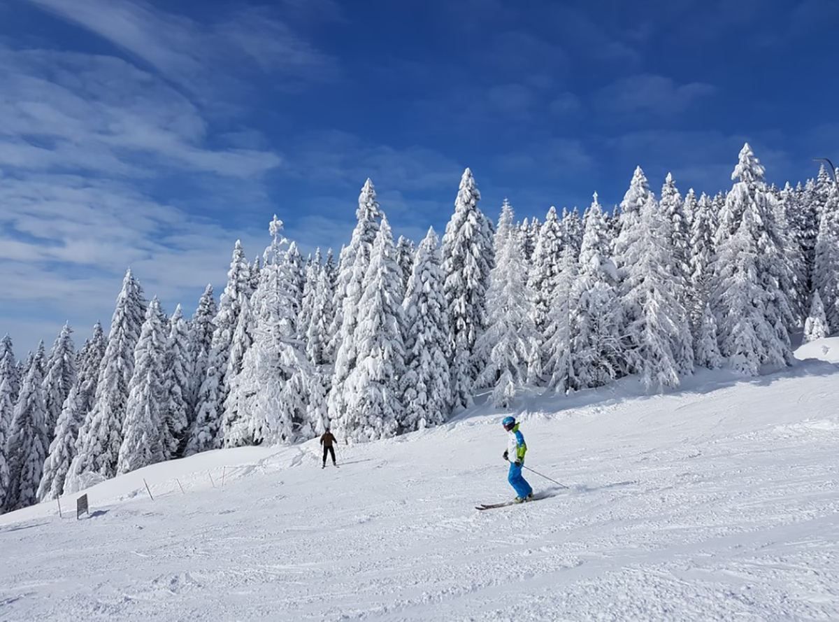 Сразу поехали домой: в Австрии развернули почти 100 туристов из Великобритании Сразу поехали домой: в Австрии развернули почти 100 туристов из Великобритании
