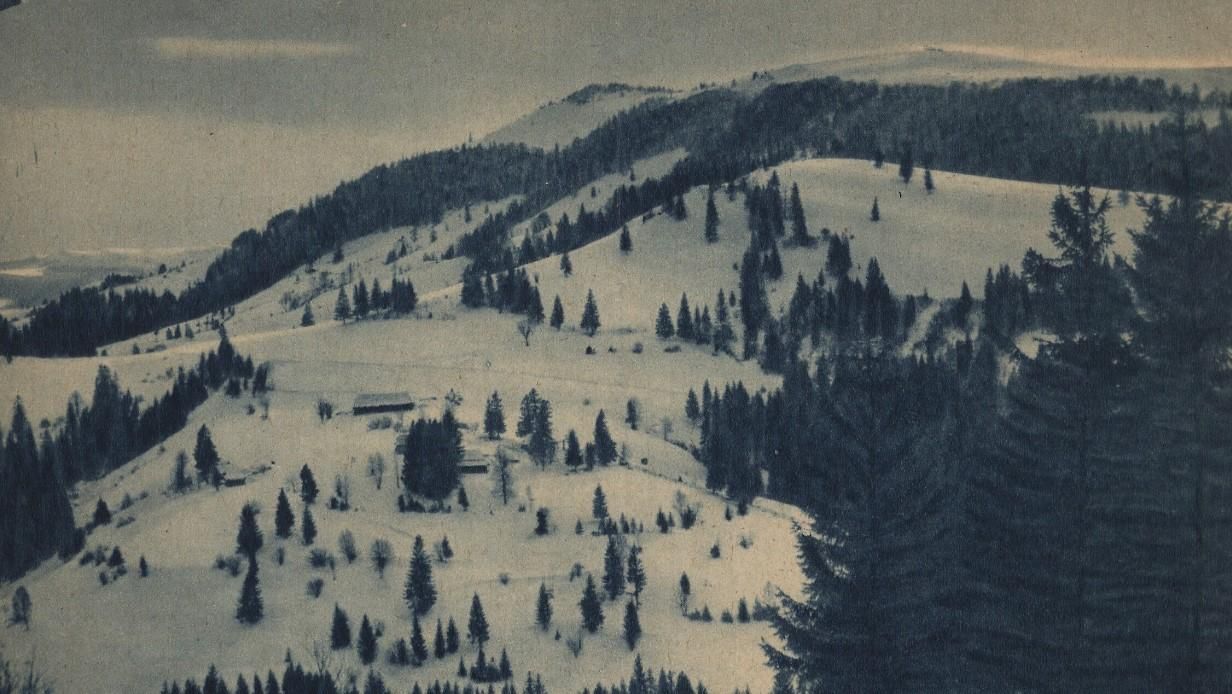 Карпаты 1938 года: польская электронная библиотека показала редкие фото украинских гор