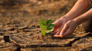 Эксперт назвала худшее последствие для Украины от изменения климата