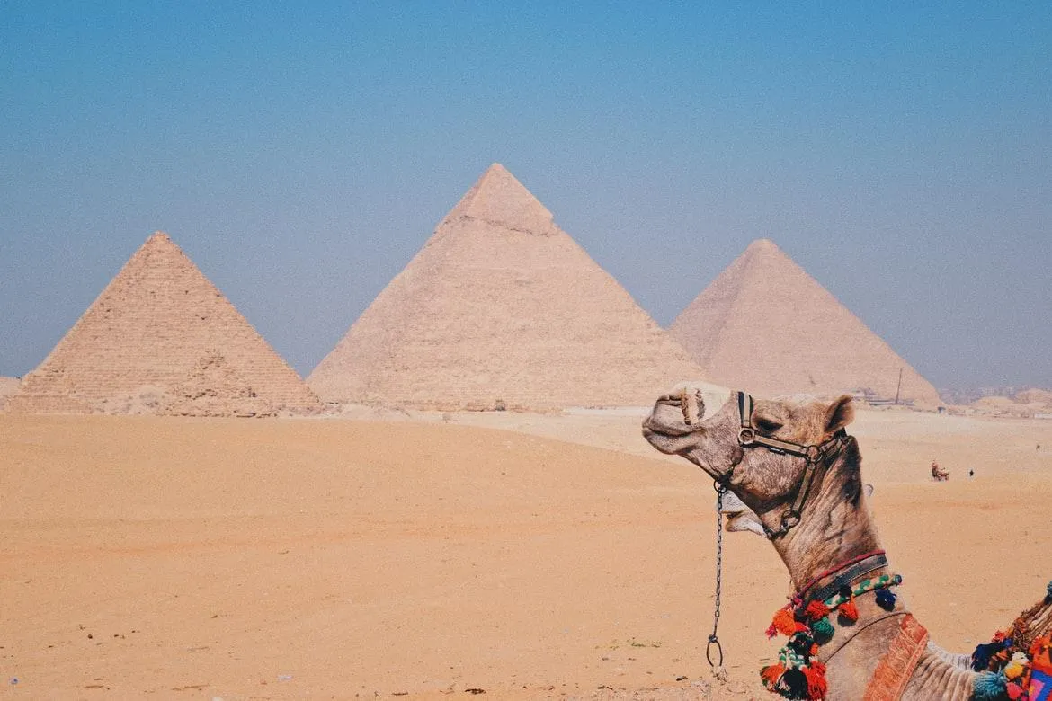 Советы тем, кто впервые едет в Египет