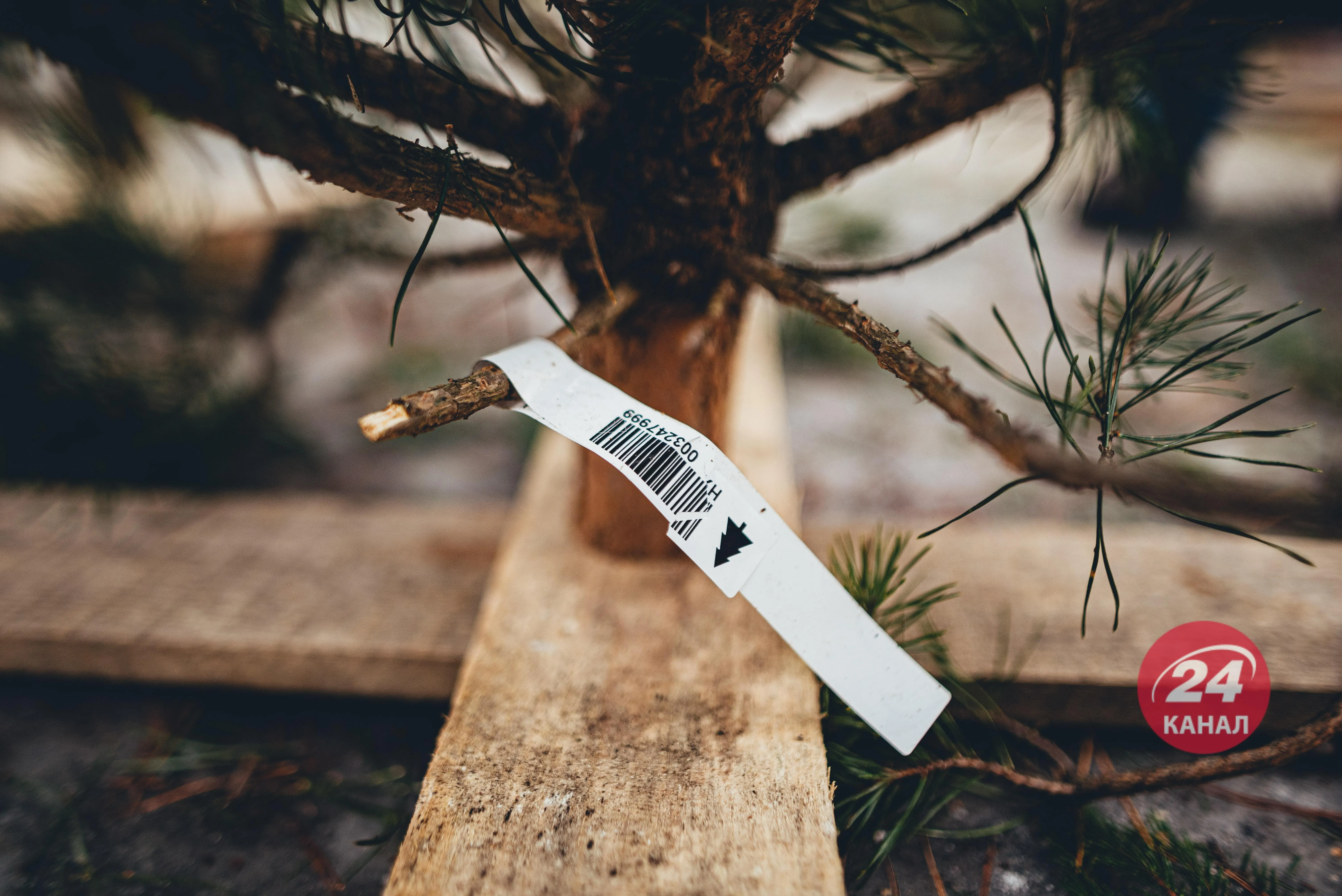 Рейд у Києві Рейд у Києві