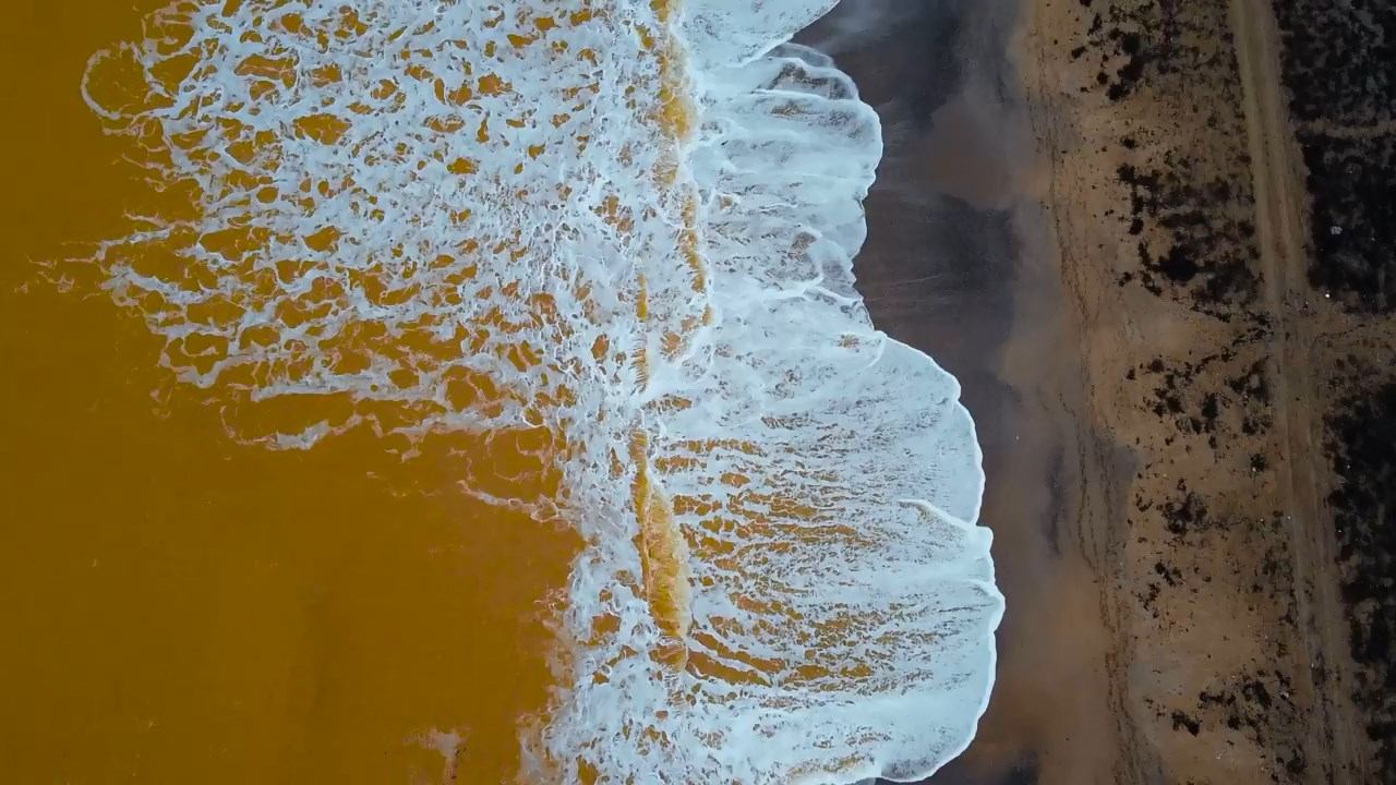 Чорне море у Криму забарвилося в жовтий колір: відео незвичного явища - Новини Євпаторії - 24 Канал
